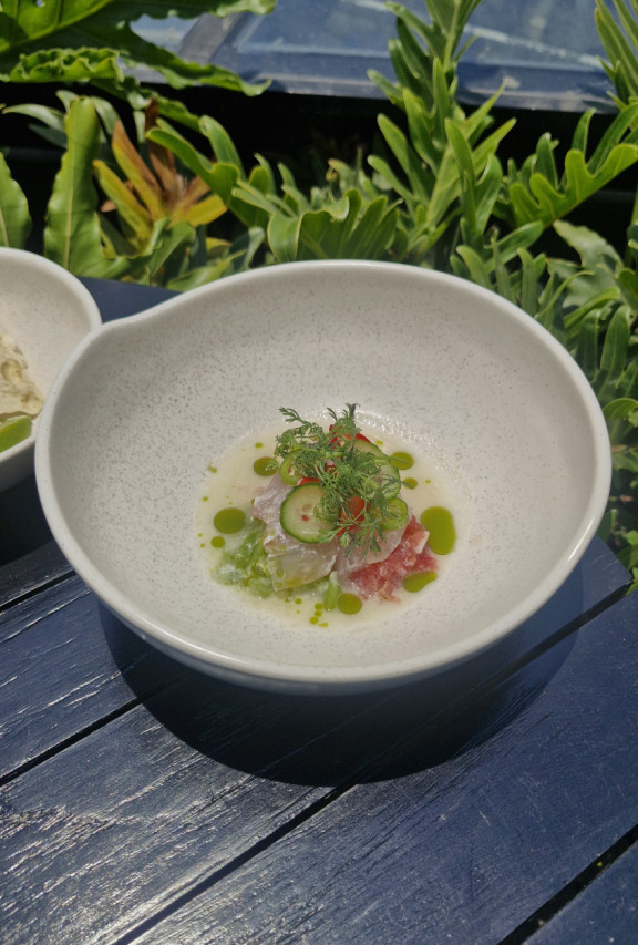 Crudo de kampachi