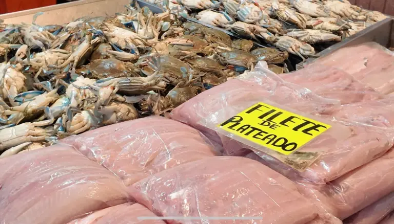 Pescados y Mariscos